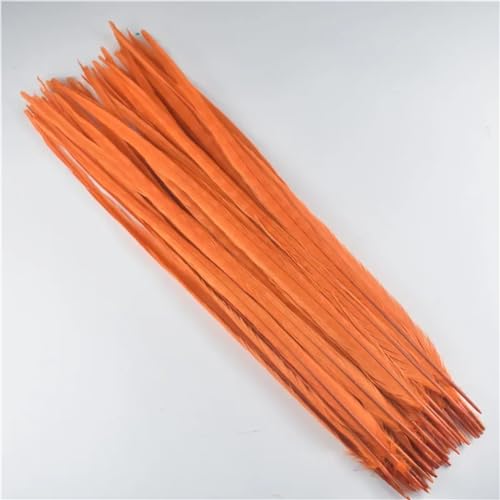 HKSDKABOP Handwerksdekoration mit Federn, Natürliche Ringneck Fasan Federn 40-45cm Multicolor Mehrere Mengen Handwerk Dekor(Orange,10 Piece) von HKSDKABOP