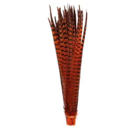 HKSDKABOP Handwerksdekoration mit Federn, Natürliche Ringneck Fasan Federn 40-45cm Multicolor Mehrere Mengen Handwerk Dekor(Orange1,10 Piece) von HKSDKABOP