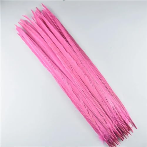 HKSDKABOP Handwerksdekoration mit Federn, Natürliche Ringneck Fasan Federn 40-45cm Multicolor Mehrere Mengen Handwerk Dekor(Pink,10 Piece) von HKSDKABOP