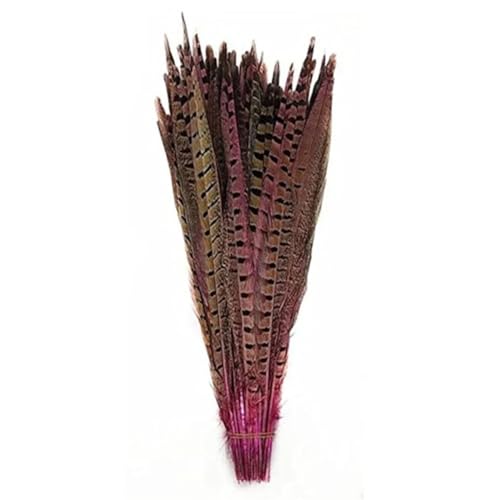 HKSDKABOP Handwerksdekoration mit Federn, Natürliche Ringneck Fasan Federn 40-45cm Multicolor Mehrere Mengen Handwerk Dekor(Pink1,100 Piece) von HKSDKABOP