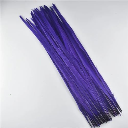 HKSDKABOP Handwerksdekoration mit Federn, Natürliche Ringneck Fasan Federn 40-45cm Multicolor Mehrere Mengen Handwerk Dekor(Purple,100 Piece) von HKSDKABOP