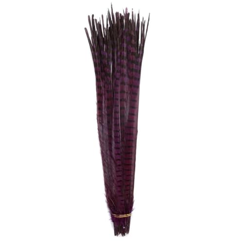 HKSDKABOP Handwerksdekoration mit Federn, Natürliche Ringneck Fasan Federn 40-45cm Multicolor Mehrere Mengen Handwerk Dekor(Purple1,10 Piece) von HKSDKABOP