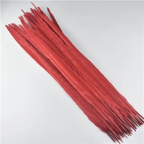 HKSDKABOP Handwerksdekoration mit Federn, Natürliche Ringneck Fasan Federn 40-45cm Multicolor Mehrere Mengen Handwerk Dekor(Red,100 Piece) von HKSDKABOP
