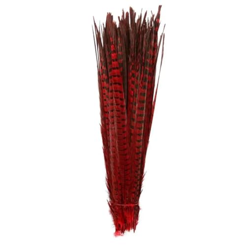 HKSDKABOP Handwerksdekoration mit Federn, Natürliche Ringneck Fasan Federn 40-45cm Multicolor Mehrere Mengen Handwerk Dekor(Red1,50 Piece) von HKSDKABOP