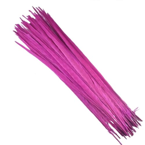 HKSDKABOP Handwerksdekoration mit Federn, Natürliche Ringneck Fasan Federn 40-45cm Multicolor Mehrere Mengen Handwerk Dekor(Rose Red,10 Piece) von HKSDKABOP