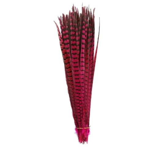HKSDKABOP Handwerksdekoration mit Federn, Natürliche Ringneck Fasan Federn 40-45cm Multicolor Mehrere Mengen Handwerk Dekor(Rose Red1,200 Piece) von HKSDKABOP