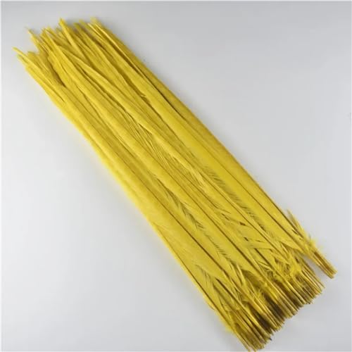 HKSDKABOP Handwerksdekoration mit Federn, Natürliche Ringneck Fasan Federn 40-45cm Multicolor Mehrere Mengen Handwerk Dekor(Yellow,30 Piece) von HKSDKABOP