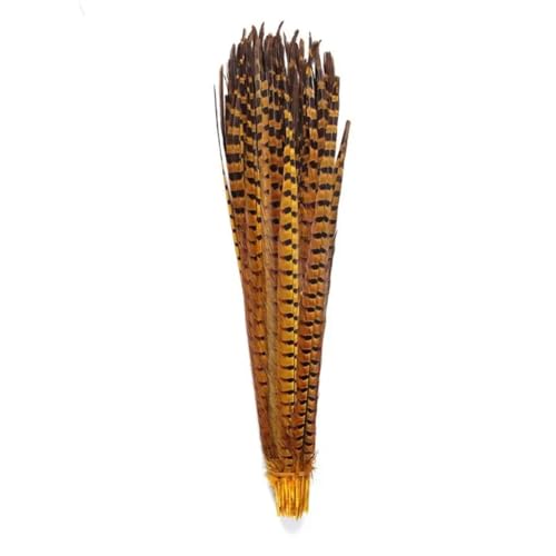 HKSDKABOP Handwerksdekoration mit Federn, Natürliche Ringneck Fasan Federn 40-45cm Multicolor Mehrere Mengen Handwerk Dekor(Yellow1,200 Piece) von HKSDKABOP