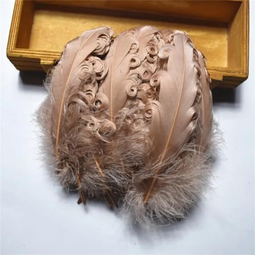 HKSDKABOP Handwerksdekoration mit Federn, Packung mit 20 Spire Gans Federn Multicolor 10-15cm DIY Handwerk Hochzeit Party Decor(Light Brown) von HKSDKABOP