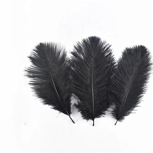 HKSDKABOP Handwerksdekoration mit Federn, Packung mit 20 schwarzen Fasanenfedern, Entenfedern, Straußenfedern, Truthahnfedern, Gänsefedern for Fliegenbinden von Traumfängern(15-20cm 6-8inch5) von HKSDKABOP