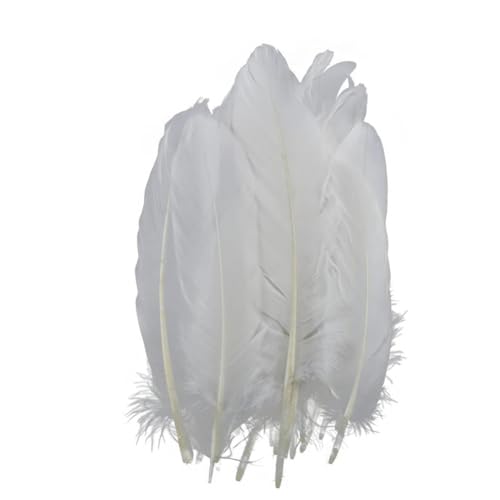 HKSDKABOP Handwerksdekoration mit Federn, Packung mit 20 weißen Fasanen-, Enten-, Straußen-, Truthahn- und Gänsefedern for DIY-Partydekoration(15-20cm 6-8inch1) von HKSDKABOP
