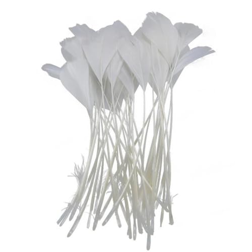HKSDKABOP Handwerksdekoration mit Federn, Packung mit 20 weißen Fasanen-, Enten-, Straußen-, Truthahn- und Gänsefedern for DIY-Partydekoration(15-20cm 6-8inch2) von HKSDKABOP