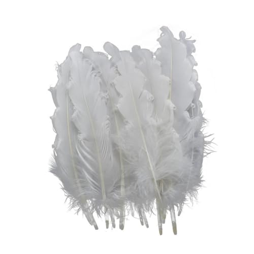 HKSDKABOP Handwerksdekoration mit Federn, Packung mit 20 weißen Fasanen-, Enten-, Straußen-, Truthahn- und Gänsefedern for DIY-Partydekoration(15-20cm 6-8inch4) von HKSDKABOP