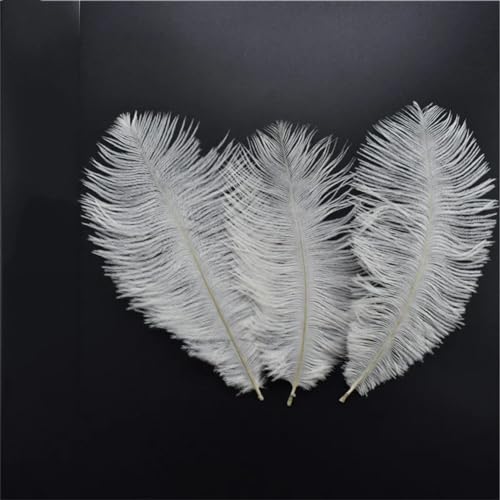HKSDKABOP Handwerksdekoration mit Federn, Packung mit 20 weißen Fasanen-, Enten-, Straußen-, Truthahn- und Gänsefedern for DIY-Partydekoration(15-20cm 6-8inch5) von HKSDKABOP