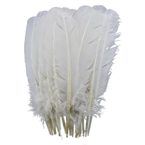 HKSDKABOP Handwerksdekoration mit Federn, Packung mit 20 weißen Fasanen-, Enten-, Straußen-, Truthahn- und Gänsefedern for DIY-Partydekoration(25-30cm 10-12inch) von HKSDKABOP