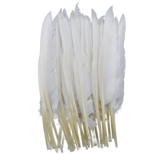 HKSDKABOP Handwerksdekoration mit Federn, Packung mit 20 weißen Fasanen-, Enten-, Straußen-, Truthahn- und Gänsefedern for DIY-Partydekoration(25-30cm 10-12inch1) von HKSDKABOP