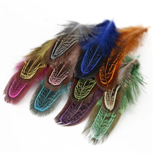 HKSDKABOP Handwerksdekoration mit Federn, Ringfasanenfedern Multicolor 3-7 cm 20er Packung(Randomly Mix Colors,100 Piece) von HKSDKABOP
