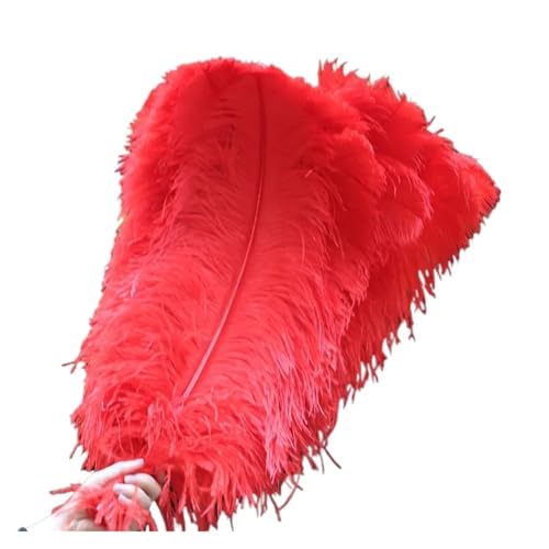 HKYBCF Federtanz Fächer 10 Teile/los Elegante Natürliche Federn 50-55cm for Handwerk Hochzeit Partei Liefert Karneval Tänzerin Dekoration Gefieder(Red) von HKYBCF