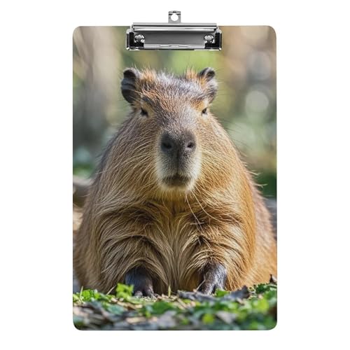 Capybara mit geschlossenen Augen, Klemmbrett mit Loch zum Aufhängen, 21,6 x 31,8 cm, Standard-A4-Klemmbrett aus Acryl, ultraleichter und bruchsicherer Papierhalter für Büro und Zuhause von HLBSDM