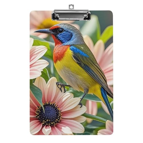 Klemmbrett mit Blumen und Vögeln und Loch zum Aufhängen, 21,6 x 31,8 cm, Standard-A4-Klemmbrett aus Acryl, ultraleichter und bruchsicherer Papierhalter für Büro und Zuhause von HLBSDM