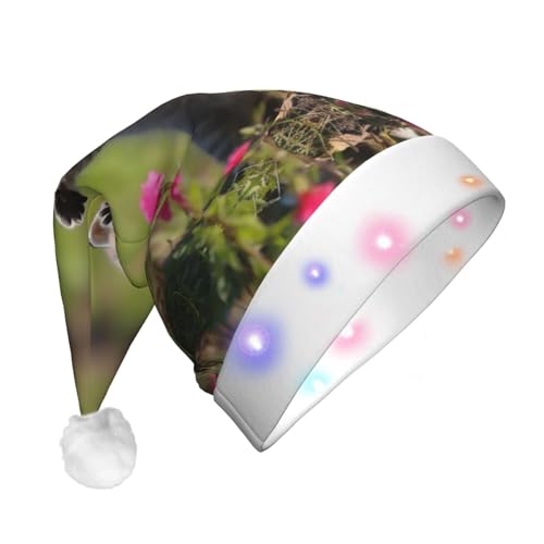 HMBGFW Niedlicher Weihnachtshut mit Kätzchen im Gras, langer Weihnachtshut für Erwachsene mit LED-Beleuchtung, fröhlicher Weihnachtshut für festliche Anlässe HMBGFW Niedlicher Weihnachtshut mit Kätzchen im Gras, langer Weihnachtshut für Erwachsene mit LED-Beleuchtung, fröhlicher Weihnachtshut für festliche Anlässe von HMBGFW