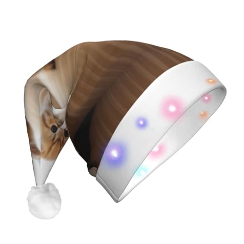 HMBGFW Niedlicher Weihnachtshut mit Kätzchen – langer Weihnachtshut für Erwachsene mit LED-Beleuchtung – fröhlicher Weihnachtshut für festliche Anlässe HMBGFW Niedlicher Weihnachtshut mit Kätzchen – langer Weihnachtshut für Erwachsene mit LED-Beleuchtung – fröhlicher Weihnachtshut für festliche Anlässe von HMBGFW
