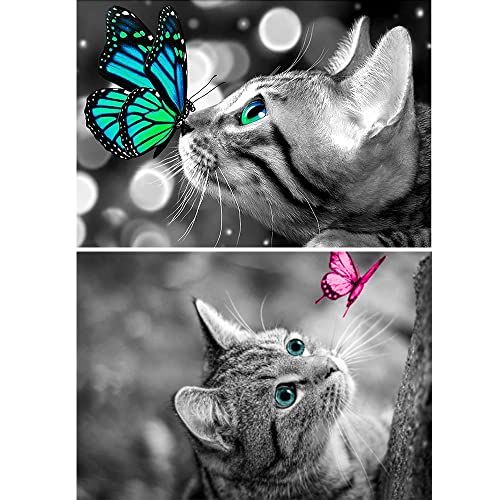 5D Daiment Painting Full Set Erwachsene Diamond Painting Kinder Malen Nach Zahlen Anfänger DIY Diamant Malerei Bilder Kits für Home Wand Weihnachts Dekoration, 30x40cm 5D Daiment Painting Full Set Erwachsene Diamond Painting Kinder Malen Nach Zahlen Anfänger DIY Diamant Malerei Bilder Kits für Home Wand Weihnachts Dekoration, 30x40cm von HMCEY