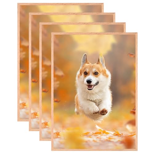 HNDFLU A3 Eichenholz Bilderrahmen,29.7x42,Set von 4 Massivholz Fotorahmen Natürliche Holz Fotorahmen Mit Plexi-Glas für Wandmontage oder Tischplatte Wohnzimmer Schlafzimmer Home Decor HNDFLU A3 Eichenholz Bilderrahmen,29.7x42,Set von 4 Massivholz Fotorahmen Natürliche Holz Fotorahmen Mit Plexi-Glas für Wandmontage oder Tischplatte Wohnzimmer Schlafzimmer Home Decor von HNDFLU
