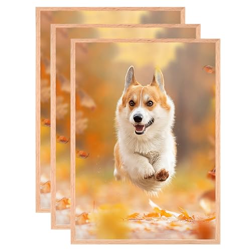 HNDFLU Eichenholz Bilderrahmen,11x14,Set von 3 Massivholz Fotorahmen Natürliche Holz Fotorahmen Mit Plexi-Glas für Wandmontage oder Tischplatte Wohnzimmer Schlafzimmer Home Decor HNDFLU Eichenholz Bilderrahmen,11x14,Set von 3 Massivholz Fotorahmen Natürliche Holz Fotorahmen Mit Plexi-Glas für Wandmontage oder Tischplatte Wohnzimmer Schlafzimmer Home Decor von HNDFLU