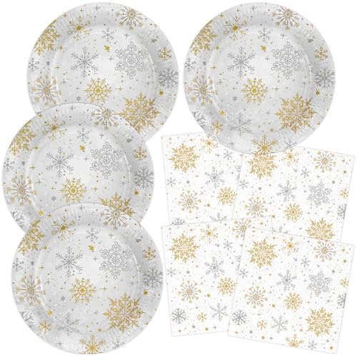 HNH Weihnachten Pappteller Servietten Set 40 Stück Gold und Silber Schneeflocken Weihnachtsteller Weihnachtsservietten für Weihnachten Partygeschirr Dekoration von HNH
