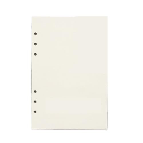 HNULGVI spiralbuch 45 Blätter/90 Seiten Ring-Notizbuch-Einlage, Nachfüllpackungen, 6 Löcher, Loseblattpapier, Zeitschriften, A5, A6, A7(Blank,A5 142x210mm) von HNULGVI
