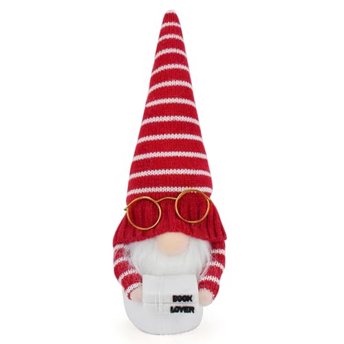 HNsdsvcd Striped Gnomes Plüsch Puppen Ornament Mit Brille Buch Liebhaber Tomte Tabletop Figurengeschenk Zurück Die Schule Party Dekore von HNsdsvcd