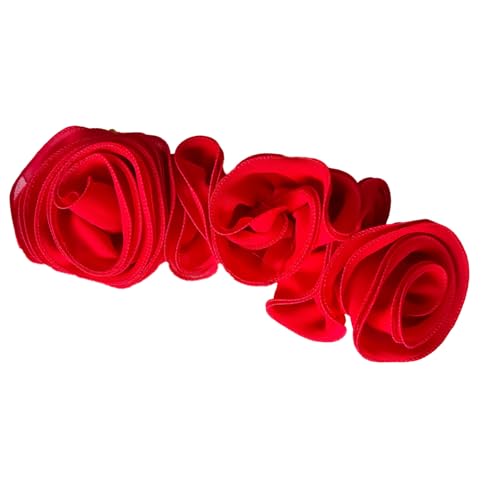 Rüschenränder, 3D-Blumen-Applikation für Abendparty, Kleid, Kostüm, Dekoration, Aufnähen, Blumenaufnäher für Bastelprojekte von HNsdsvcd