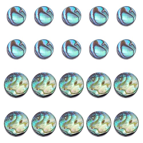 HOBBIESAY 20 Stück 2 Stile Natürliche Abalone Muschelperlen Flach Lose Abalone Muschelperlen Runder Perlenstrang Paua Muscheln Perlenstränge Für Armbänder Halsketten Schmuckherstellung Loch:0.5mm HOBBIESAY 20 Stück 2 Stile Natürliche Abalone Muschelperlen Flach Lose Abalone Muschelperlen Runder Perlenstrang Paua Muscheln Perlenstränge Für Armbänder Halsketten Schmuckherstellung Loch:0.5mm von HOBBIESAY