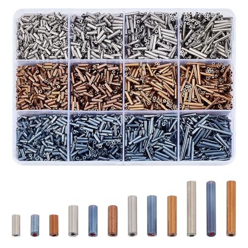 HOBBIESAY 3042 Stück Glasperlen 12 Stile Röhrenperlen Set Mit Saatperlen Lose Abstandsperlen Kleine Bastelperlen Für Die Herstellung von DIY Armbändern Halsketten Ohrringen Und Schmuck Bohrung:0.5mm HOBBIESAY 3042 Stück Glasperlen 12 Stile Röhrenperlen Set Mit Saatperlen Lose Abstandsperlen Kleine Bastelperlen Für Die Herstellung von DIY Armbändern Halsketten Ohrringen Und Schmuck Bohrung:0.5mm von HOBBIESAY