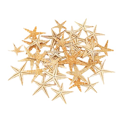 HOLIDYOYO 1 Schachtel Mini-Landschaftsskulptur nautisch Stranddekoration am Meer Schmuck plastiktisch plastikenten einmachgläser Mini-Desktop-Ornament Mikro-Strass-Skulptur Beige HOLIDYOYO 1 Schachtel Mini-Landschaftsskulptur nautisch Stranddekoration am Meer Schmuck plastiktisch plastikenten einmachgläser Mini-Desktop-Ornament Mikro-Strass-Skulptur Beige von HOLIDYOYO