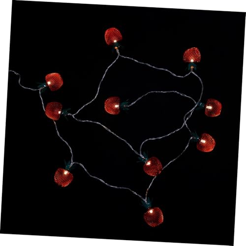 HOLIDYOYO LED Lichterkette Warmrote Apfelförmige Früchte Lichterkette aus für Innen Außen Dekoration ohne Batterie von HOLIDYOYO