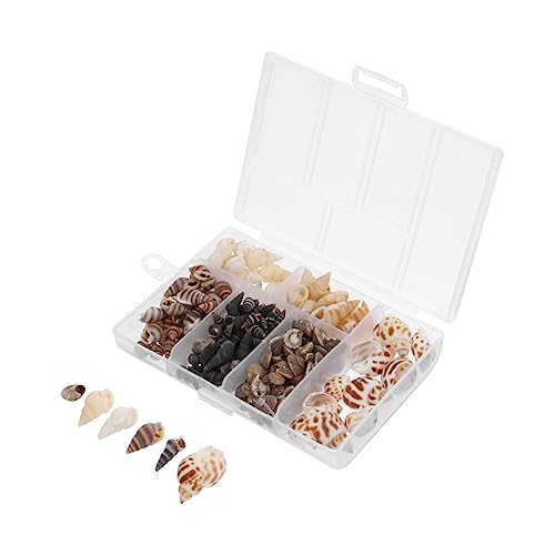 HOMOBABE 1 Schachtel Garnitur mit Muschelmuscheln Tank Dekorationen Zubehör einmachgläser Aquariumlandschaftsbau natürliche Verzierungen aus Muschelschalen natürliche Schale HOMOBABE 1 Schachtel Garnitur mit Muschelmuscheln Tank Dekorationen Zubehör einmachgläser Aquariumlandschaftsbau natürliche Verzierungen aus Muschelschalen natürliche Schale von HOMOBABE