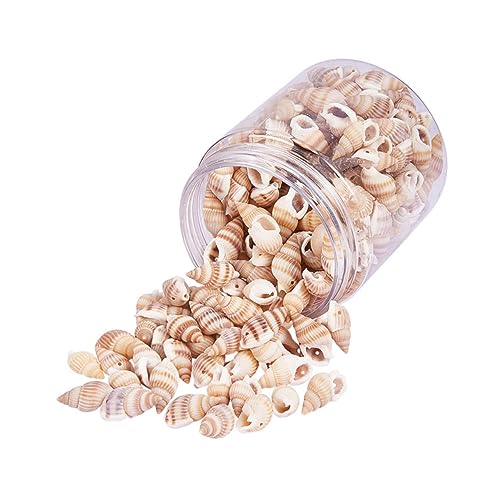 HOMSFOU 1 Schachtel Tiny Craft Charms für Dekoration Natürliche Muscheln für Diy Strand Themenfeiern Hochzeiten Fischtank und Vasenfüllung HOMSFOU 1 Schachtel Tiny Craft Charms für Dekoration Natürliche Muscheln für Diy Strand Themenfeiern Hochzeiten Fischtank und Vasenfüllung von HOMSFOU