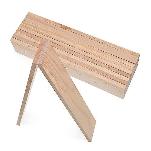 HOMSFOU 12Stücke Rechteckige Holzplatten Unbehandeltem Kiefernholz Für Bastelprojekte DIY Malerei Und Holzarbeiten Vielseitig Einsetzbar Für Dekoration HOMSFOU 12Stücke Rechteckige Holzplatten Unbehandeltem Kiefernholz Für Bastelprojekte DIY Malerei Und Holzarbeiten Vielseitig Einsetzbar Für Dekoration von HOMSFOU