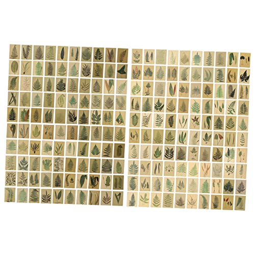 HOMSFOU 2 Packungen Notizkarten Ästhetische Geburtstagskarten Journaling Süß Bis Gepunktet Papierkarten Für Erwachsene Vintage Collage Material Memo Nachrichten Notiz von HOMSFOU
