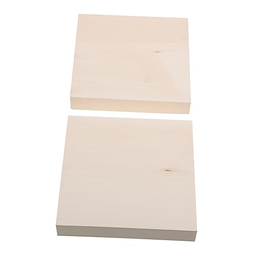 HOMSFOU 2Stücke Unfertige Holzplanken Für DIY Projekte Für Handwerk Und Bastelideen Hochwertige Holzstücke Zum Schnitzen Und Gestalten von HOMSFOU