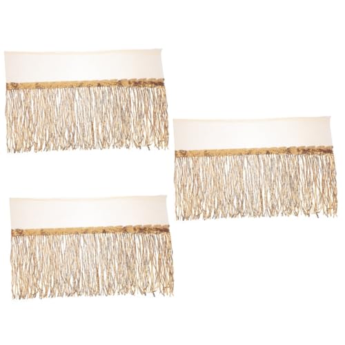 HOMSFOU 3 Stück Tanzkostüm mit Fransenverzierung für Glitzernde Taillenfransen für Bühnenauftritte Diy Material für Kostümpartys und Thematische Events Hautfreundliche Pailletten HOMSFOU 3 Stück Tanzkostüm mit Fransenverzierung für Glitzernde Taillenfransen für Bühnenauftritte Diy Material für Kostümpartys und Thematische Events Hautfreundliche Pailletten von HOMSFOU