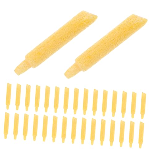 HOMSFOU 30Stücke Stiftspitzen für Nachfüllbare Farbstifte Austauschbare Marker Ersatzspitzen aus Robustem Material für Acrylfarben und Malprojekte Langlebig HOMSFOU 30Stücke Stiftspitzen für Nachfüllbare Farbstifte Austauschbare Marker Ersatzspitzen aus Robustem Material für Acrylfarben und Malprojekte Langlebig von HOMSFOU