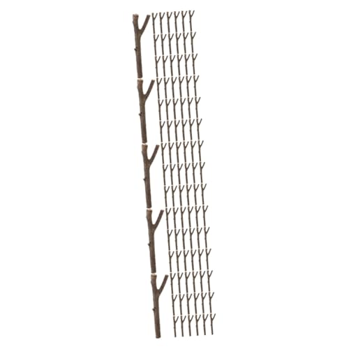 HOMSFOU 5 Sätze Diy Holzstäbe Naturmaterialien Für Bastelprojekte Vielseitige Holzstäbchen Für Handarbeiten Und Diy Anwendungen Für Fotorequisiten Und Mehr 20 Stück * 5 von HOMSFOU