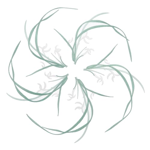 HOMSFOU 5 Stück Teiliges Orchideen Stickereipatches Weiße Applikationen für Kleidung Diy Bastelarbeiten Langlebig und Praktisch zum Dekorieren und Reparieren von Textilien HOMSFOU 5 Stück Teiliges Orchideen Stickereipatches Weiße Applikationen für Kleidung Diy Bastelarbeiten Langlebig und Praktisch zum Dekorieren und Reparieren von Textilien von HOMSFOU