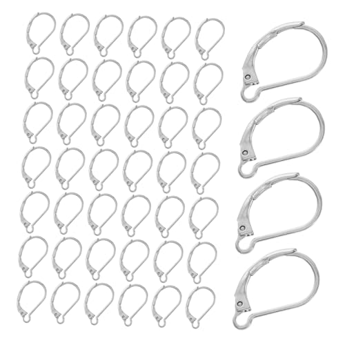 HOMSFOU 50 Stück Ohrringschnalle aus Edelstahl Schmuck Ohrhaken Haken aus Edelstahl Ohrhaken basteln französischer Haken Französische Hakenohrringe Ohrringe Rostfreier Stahl Silber von HOMSFOU