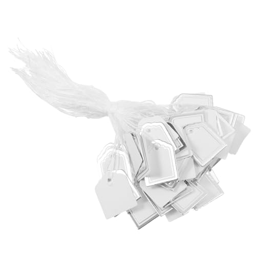 HOMSFOU 500 Stück Leeres Etikett Zum Aufhängen Einzelhandel Anzeige Schmuck Hängend Etiketten Aufschlag Weiße Markierungsmarken Weißes Preisschild Ohrringkarten Preisschilder Silver Papier von HOMSFOU
