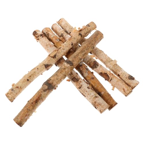 HOMSFOU 6Stücke Getrocknete Birkenzweige Für DIY Bastelarbeiten Holzstäbchen Naturholz Für Blumenarrangements Und Dekoration Für Heimwerkerprojekte von HOMSFOU