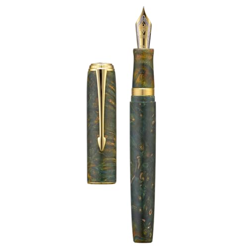 Hongdian A7 Füllfederhalter aus stabilisiertem Holz, feine Spitze, chinesischer Knoten, Schnitzerei, Handarbeitsstift mit Konverter und Metallbox, Grasgrün von HONG DIAN